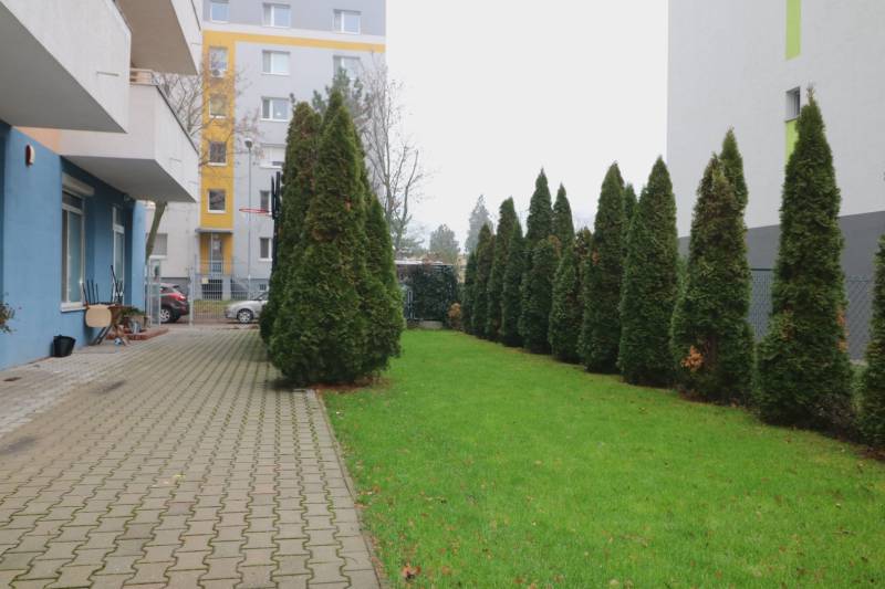 dvor